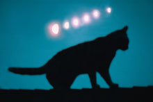 Load image into Gallery viewer, Lunar Cat
